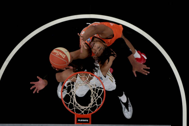 的引入到国 的引入到国